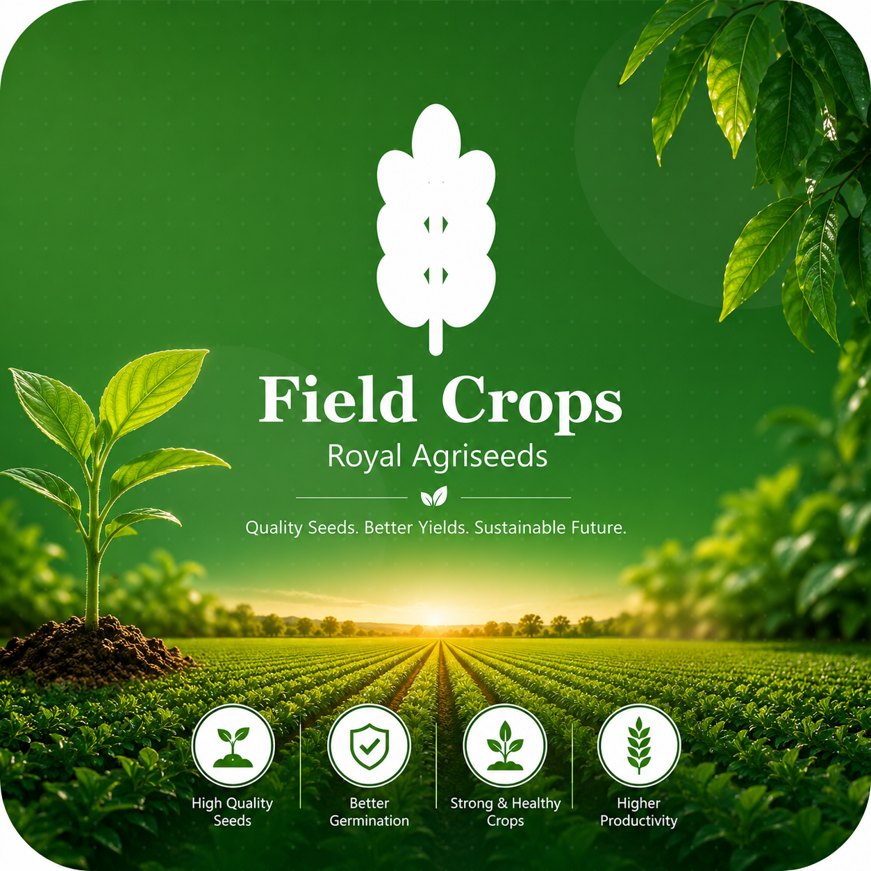 Field Crops