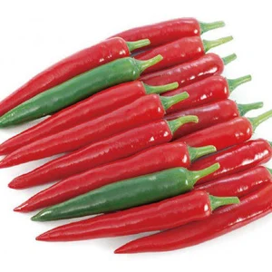 Agni Hot Chilli