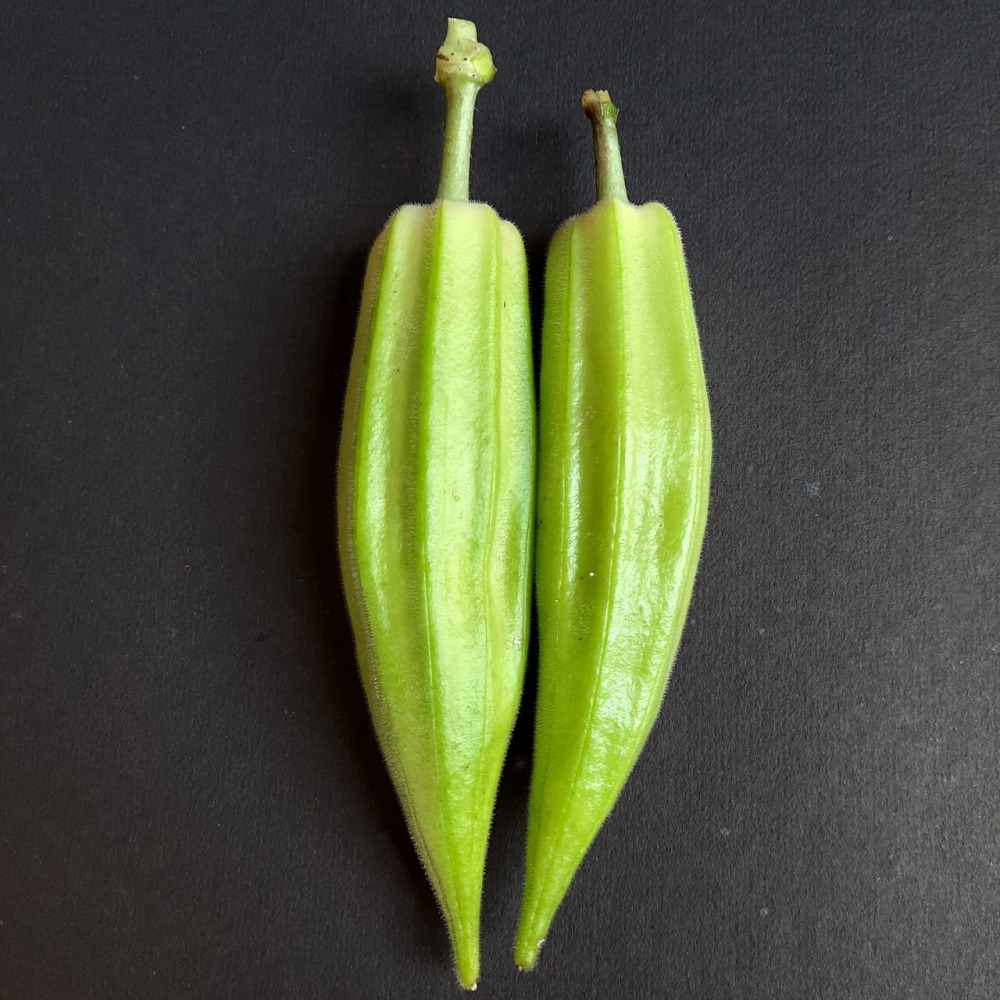 Green Star Okra