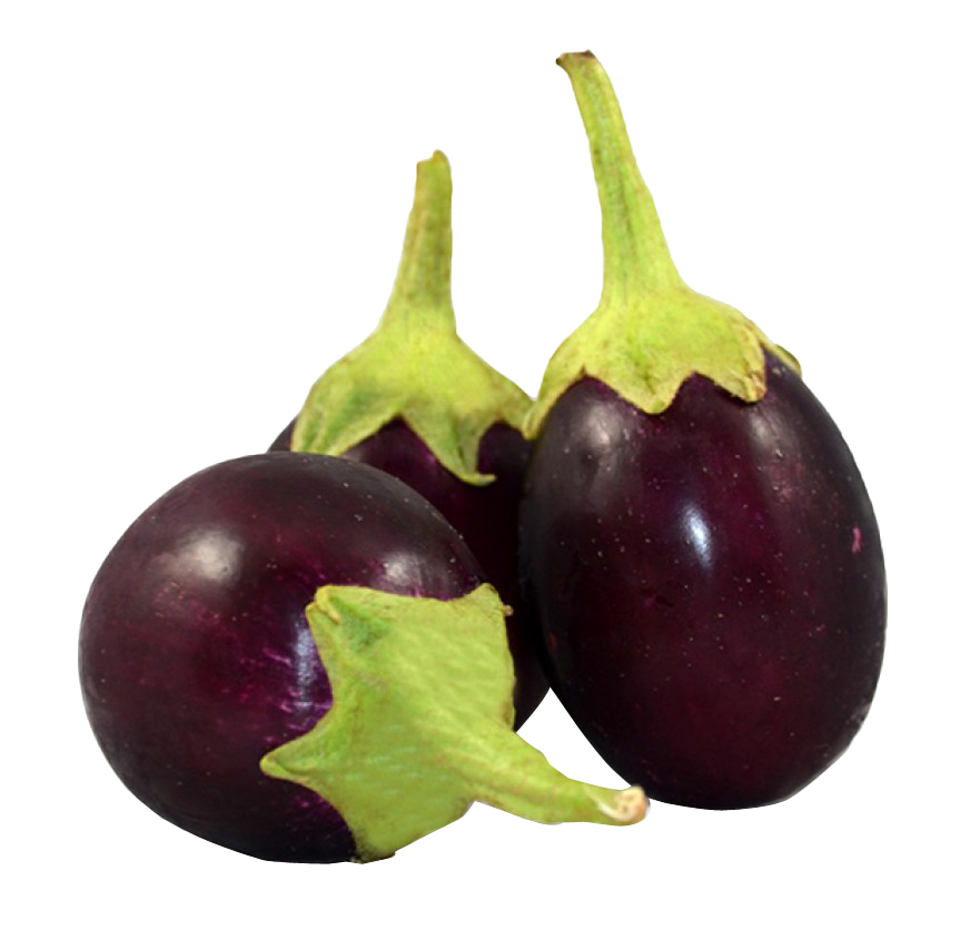 Nilkanth Brinjal